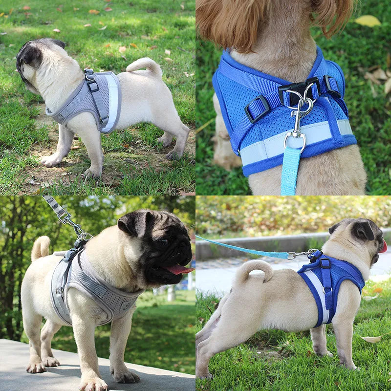 Colete Refletivo para Pets