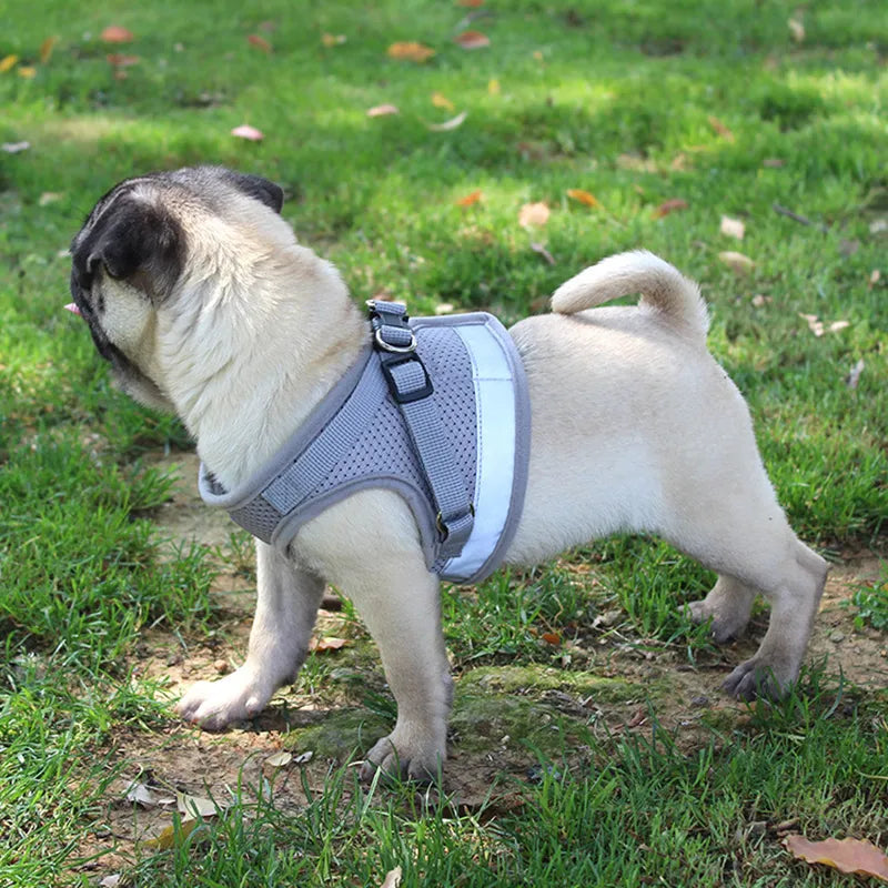 Colete Refletivo para Pets